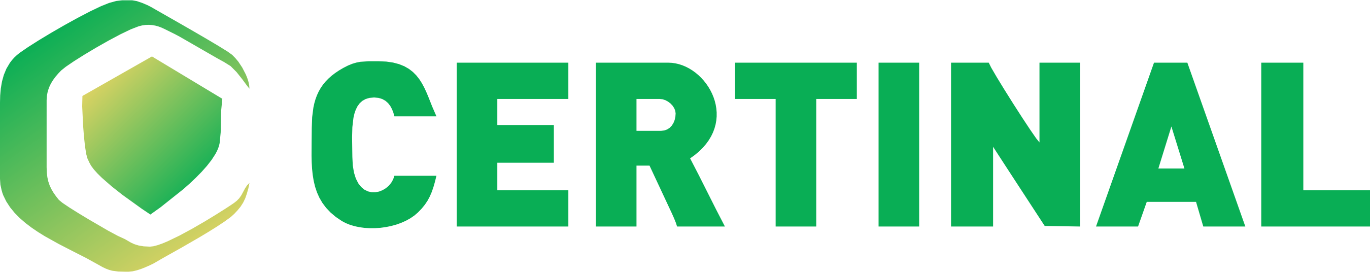 Client Logo
